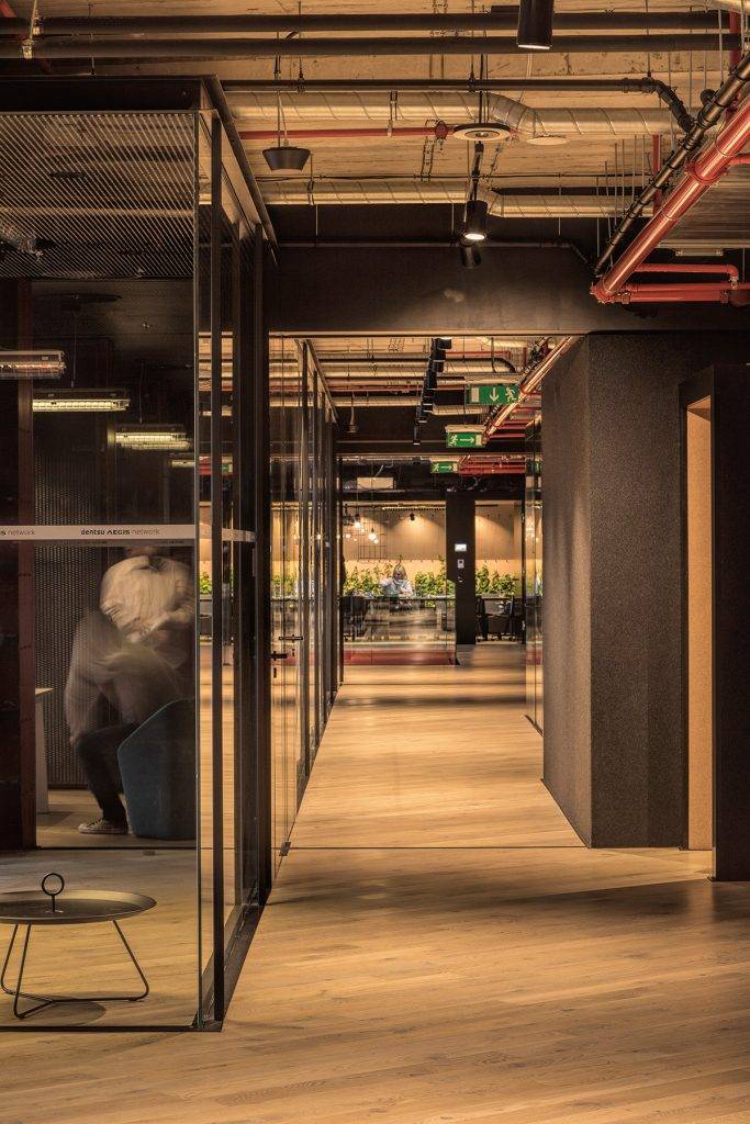 dentsu archizoom