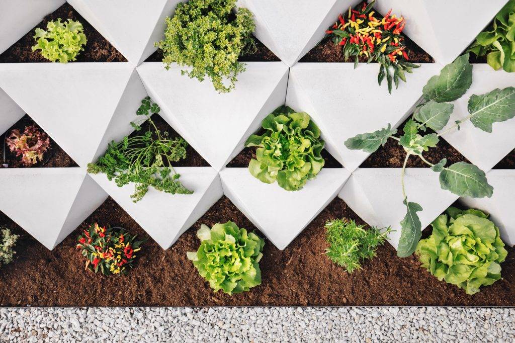 origami wall